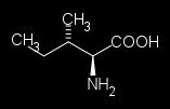 UTB ve Zlíně, Fakulta technologická 16 1.1.3 Izoleucin Obr. č.