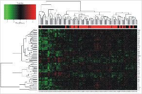 DEREGULATION OF GENES Cord blood Change: 104 genes 37 67 CB Increased expression in CB: genes related to