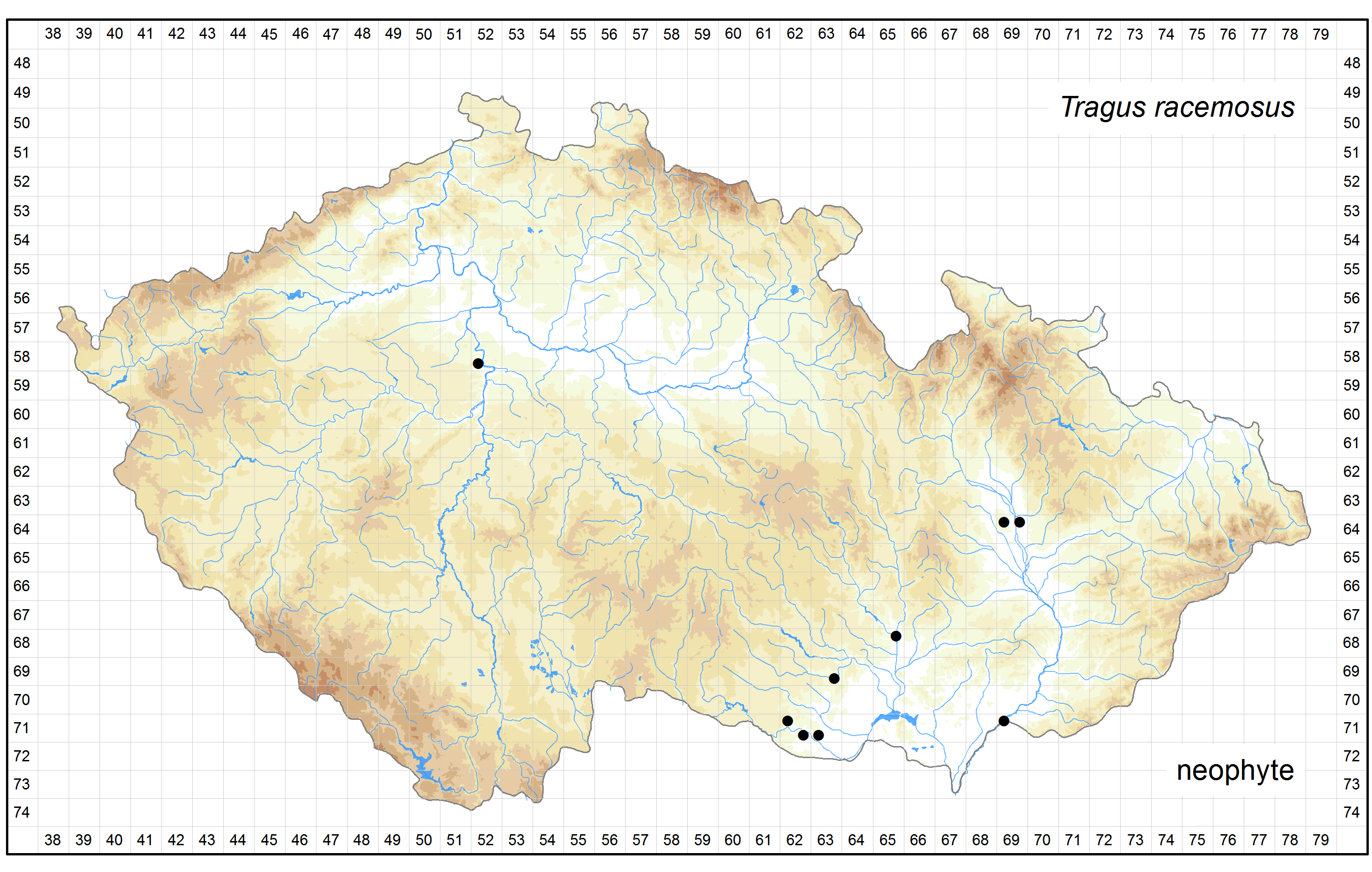 Distribution of Tragus racemosus in the Czech Republic Author of the map: Jiří Zázvorka Map produced on: 18-11-2015 Database records used for producing the distribution map of Tragus racemosus