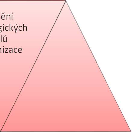 etap / úkolů / milníků náklady projektů reporty rizik a problémů plnění