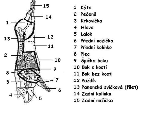 Obrázek 1: Schéma dělení