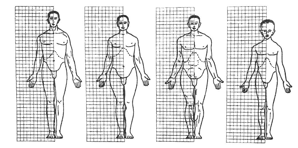 Obr. 1. Dechový, zažívací, svalový a mozkový typ podle Sigauda (Fetter a kol., 1967) 3) Představitel italské typologie Viola zavedl klasifikační systém vycházející z tělesných rozměrů.