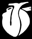 Centrum kardiovaskulární a transplantační chirurgie Brno ZADÁVACÍ DOKUMENTACE VEŘEJNÉ ZAKÁZKY NADLIMITNÍ Mimotělní oběh Evidenční číslo formuláře VVZ 7402011005106 zadávané v certifikovaném