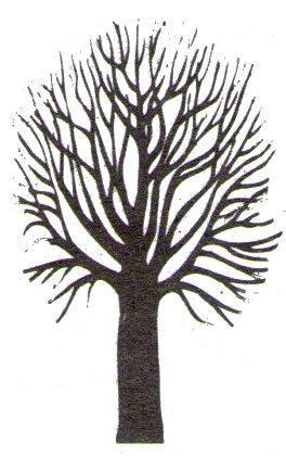 7. Rozděl na slova a škrtni, které části nenajdeme u listnatých stromů: S T É B L O K O Ř E N K O R U N A V Ě T