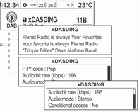 Rádio 115 Manuální naladění stanice DAB Využití seznamu stanic DAB Otočte multifunkčním ovladačem a přejděte do požadovaného seznamu a potom pro získání příslušného vysílacího kanálu stiskněte