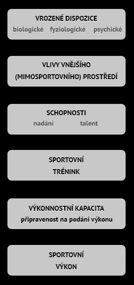 Obr. 2: Sportovní výkon jako výsledek dlouhodobé adaptace organismu (Choutka a Dovalil, 1991) Dalším pojmem, který je potřeba zmínit v souvislosti s touto kapitolou, je sportovní výkonnost.