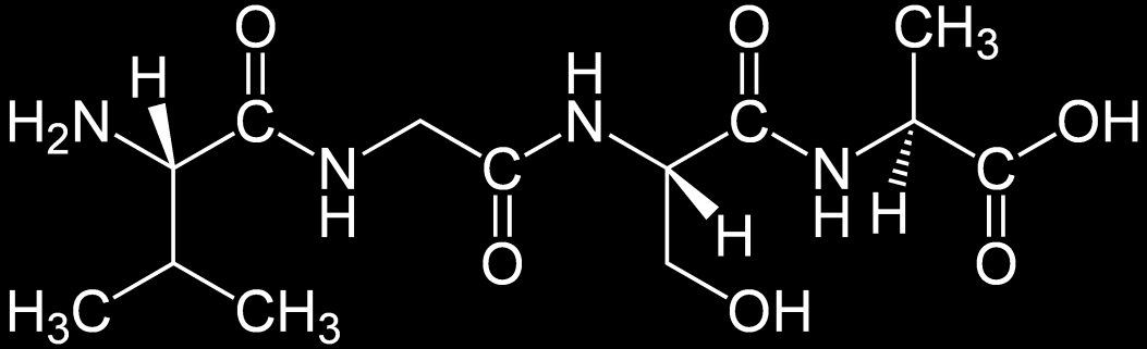 Nomenklatura peptidů: N- konec (začátek), C-konec (konec) acylaminokyseliny, např.