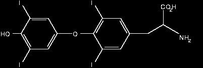 L--aminokyseliny: kódované (= proteinogenní, viz dále, selonocystein, pyrrolysin) nekódované: - odvozené od kódovaných aminokyselin Arg ornithin, Asp β-ala, Glu GABA Tyr katecholaminy (dopamin,