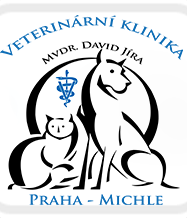 V současné době se rozlišují dvě formy PDE.
