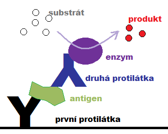 varianty citlivá