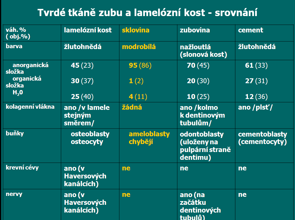 b) měkké - zubní dřeň pulpa dentis SKLOVINA - email, substantia adamantina s.