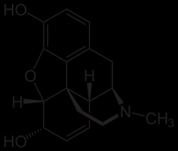 Narkotika - morfin - první psychotropní látka, která byla připravena v čisté podobě roku 1806 německým lékárníkem Fridrichem Sertunerem, který ho pojmenoval po řeckém bohu spánku Morfeovi 10 kg opia