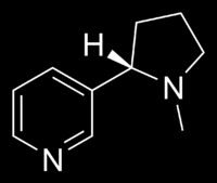Nikotin rostlina Tabák viržinský (Nicotiana tabacum) nikotin je tekutý alkaloid, v rostlině vázán na kyselinu jablečnou a citronovou, jeho množství v rostlině až 8 %, s kouřem se vstřebává sliznicemi