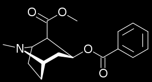 listy keře Koka pravá Erythroxylon Coca Kokain - žvýkány v rituálech jihoamerických náboženství a při těžké práci ve velké nadmořské výšce, stáhnou se cévy a tím nižší výdej tepla, anestetický účinek