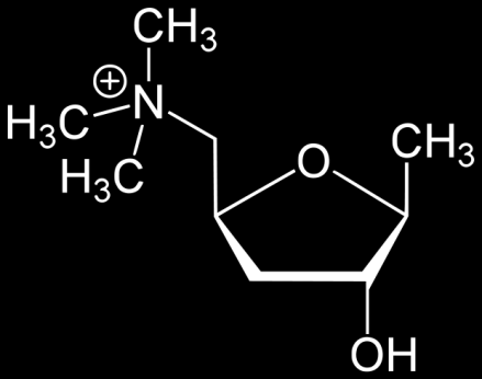 Muchomůrka červená Amanita muscaria - účinné kyselina ibotenová a muskarin, - užívala se na Dálném Východě do příchodu alkoholu účinek: malá dávka nebo počáteční účinky větší dávky fyzicky stimulují