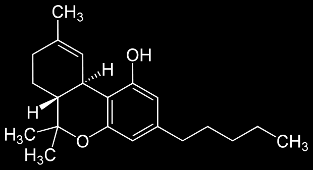 Konopí - účinky aktivní složka tetrahydrocannabinol (THC) - v rostlině vždy část nebo všechny cannabinoly ve formě kyseliny THC, která je aktivována teplem cigareta marihuany 1 g obsahuje obvykle