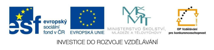 Registrační číslo projektu: CZ.1.07/1.4.00/21.