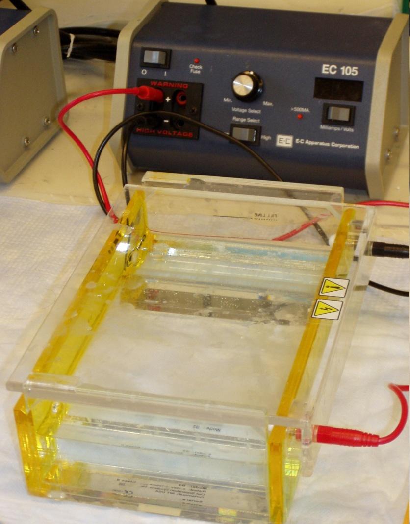 horizontální uspořádání gel polyakrylamid síť monomerů akrylamidu (CH 2 =CH-CO-NH 2 )