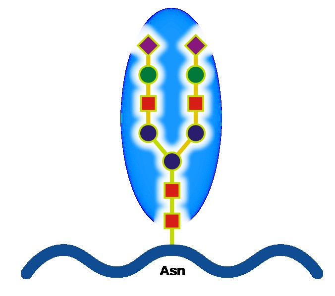 OBSAHUJE Polysacharidy Arabská GUMA (E 414) Glykoproteiny