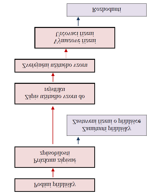 Obrázek č. 1: Řízení o přihlášce vynálezu Obrázek č.