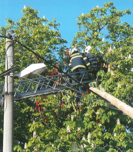 Odolnost vůči působení elektrického proudu na lidský organismus: -