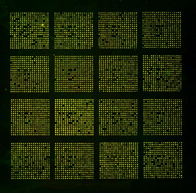 5. Scanování a analýza dat Primární data byla upravena pomocí softwaru CleanScan v1.0.0 (Obr. 23) a dále pak hodnocena v analytickém software BleFuse Multi v2.4 -v3.3 (Obr. 24, 26, 27, 28).