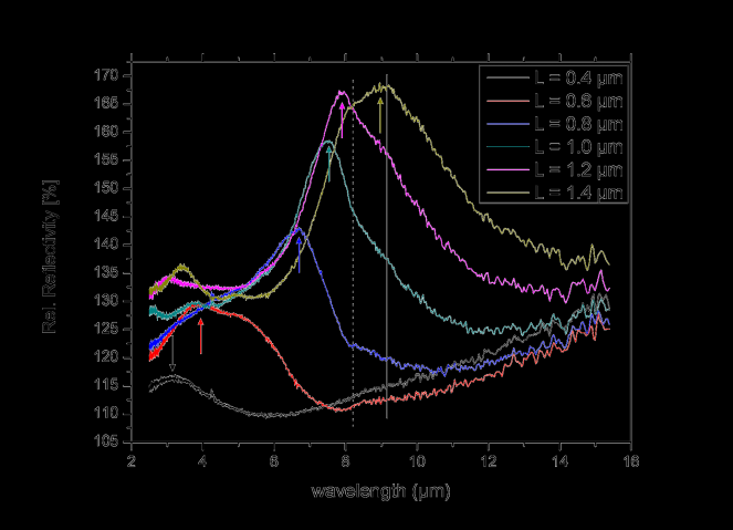 (Lumerical)  polaritons by SNOM P.