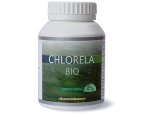 Rostlinné biotechnologie Biotechnologie řas 65 000 známých druhů oleje, proteiny, alkoholy,