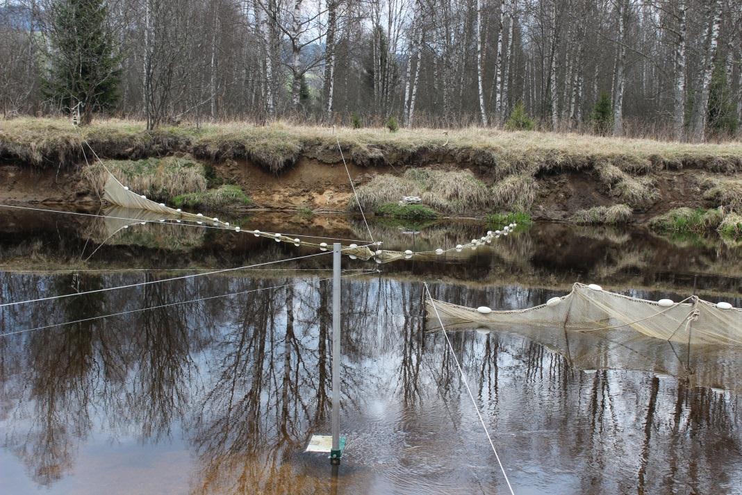 Sestavení pozorovacího systému instalace akustické kamery DIDSON na pravém břehu (D) zřízeno podzemní uložiště s řídícím počítačem a elektrickým zdrojem (PC) GF BF GF vybudovány dva naváděcí