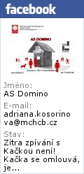 cz Městská charita České Budějovice Žižkova 12/309 370 01 České Budějovice IČ: