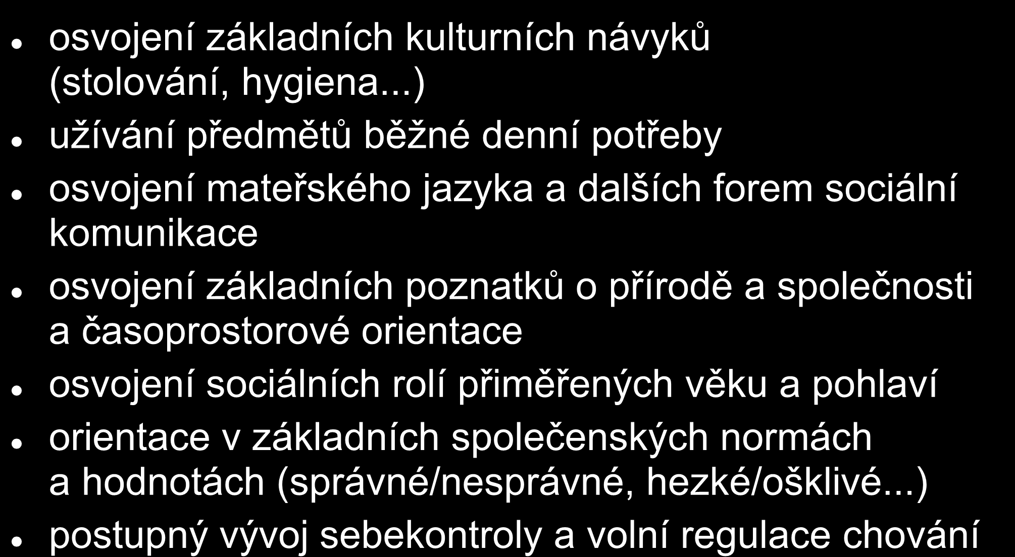 Základní aspekty primární socializace osvojení základních kulturních návyků (stolování, hygiena.