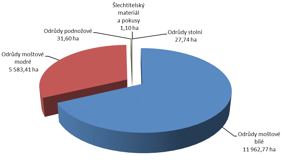 8 Z celkových 17 611,44 ha obhospodařované plochy vinic tvoří více než dvě třetiny odrůdy moštové bílé, jednu třetinu odrůdy moštové modré a zanedbatelný podíl necelé 0,5 % připadá na s t o l n í a
