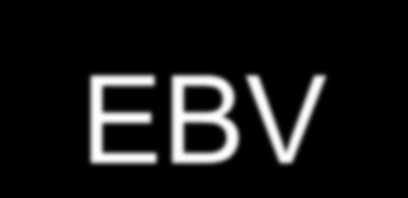 Charakteristické vzorce protilátek u EBV Stádium infekce IgG proti VCA IgM proti VCA Typ protilátek IgG proti EBNA 1 IgM proti EBNA 1 IgG proti EA IgA proti VCA IgM proti EA Latence ++ Avidita vysoká