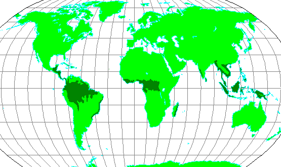 Některé biomy byly prezentovány v přednášce (v závorce textů k jednotlivým biomům). Tropický deštný les (indo-burmská oblast) obrázek 29 rovníkový pás mezi 10 s. š.