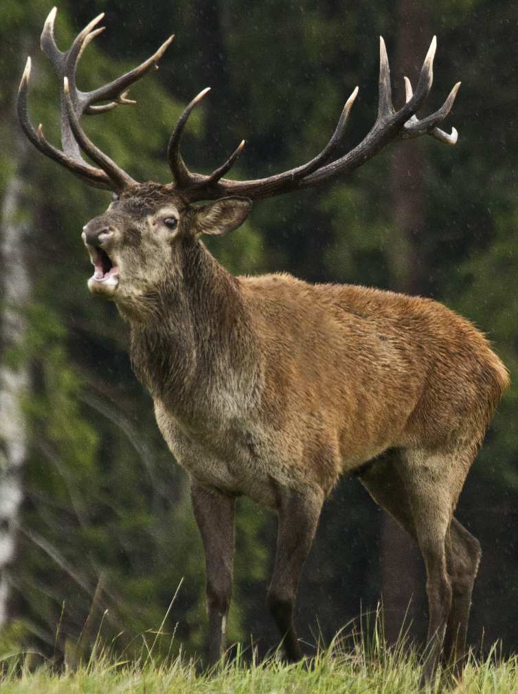 Moravskoslezský kraj ve spolupráci s