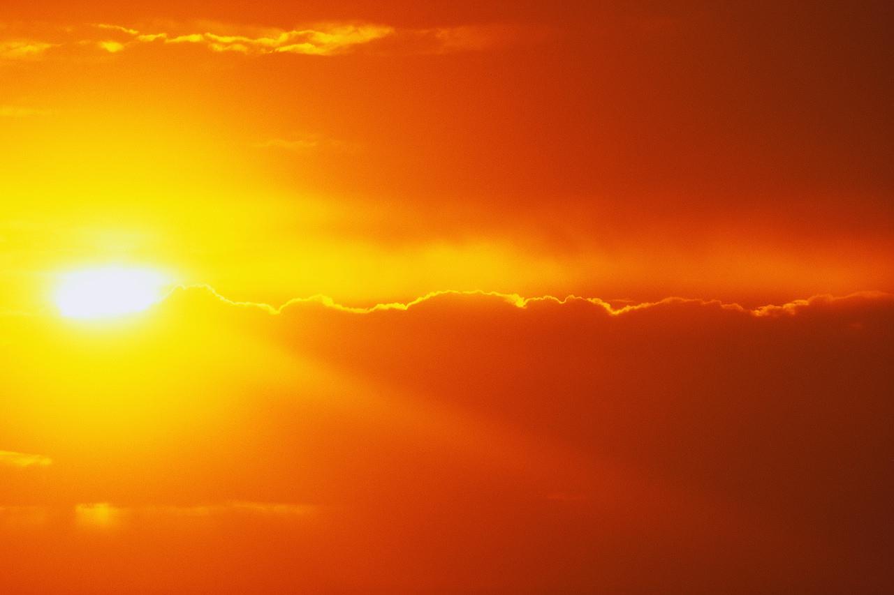 Sluneční záření Slunce je hlavním zdrojem energie na Zemi Organismy ovlivňuje 1. viditelné světlo 2. infračervené záření 3.