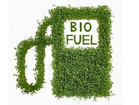Predikce vývoje spotřeby jednotlivých paliv Spotřeba elektřiny, GNG, LPG, vodíku a biopaliv v dopravě Vývoj spotřeby vychází z Aktualizace
