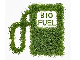Predikce vývoje spotřeby jednotlivých paliv Spotřeba elektřiny, GNG, LPG, vodíku a biopaliv v dopravě Vývoj spotřeby vychází z Aktualizace