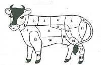 14-Bauch, 15-Nusschinken, 16-Schinken, 17-Eisbein hinten, 18-Spitbein hinten, 19-Oberschale obr. 19- Schéma vídeňského bourání: obr.