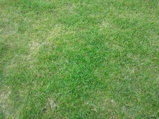 Foto 3 pohled (2) na travní plochu fotbalového hřiště