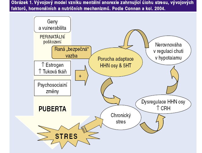 Psychogenní poruchy v gynekologii poruchy menstruačního cyklu sterilita pruritus vulvae funkční sexuální poruchy (anorgasmie a