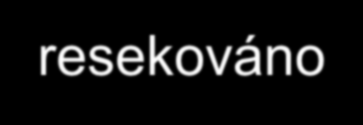 O 3 roky později (7/2009) RESS: pnet s metachronními meta do jater, origo resekováno Hormonálně aktivní Meta jater neoperabilní Terapie : nově