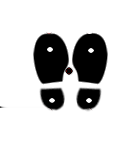 2.2. Vstupní abeceda automatu Obrázek 2.1: Zobrazení vztažných bodů nohy 2.2.1.1 Hrana nohy Hrana nohy je strana pravidelného čtyřúhelníku opsaného dané noze.