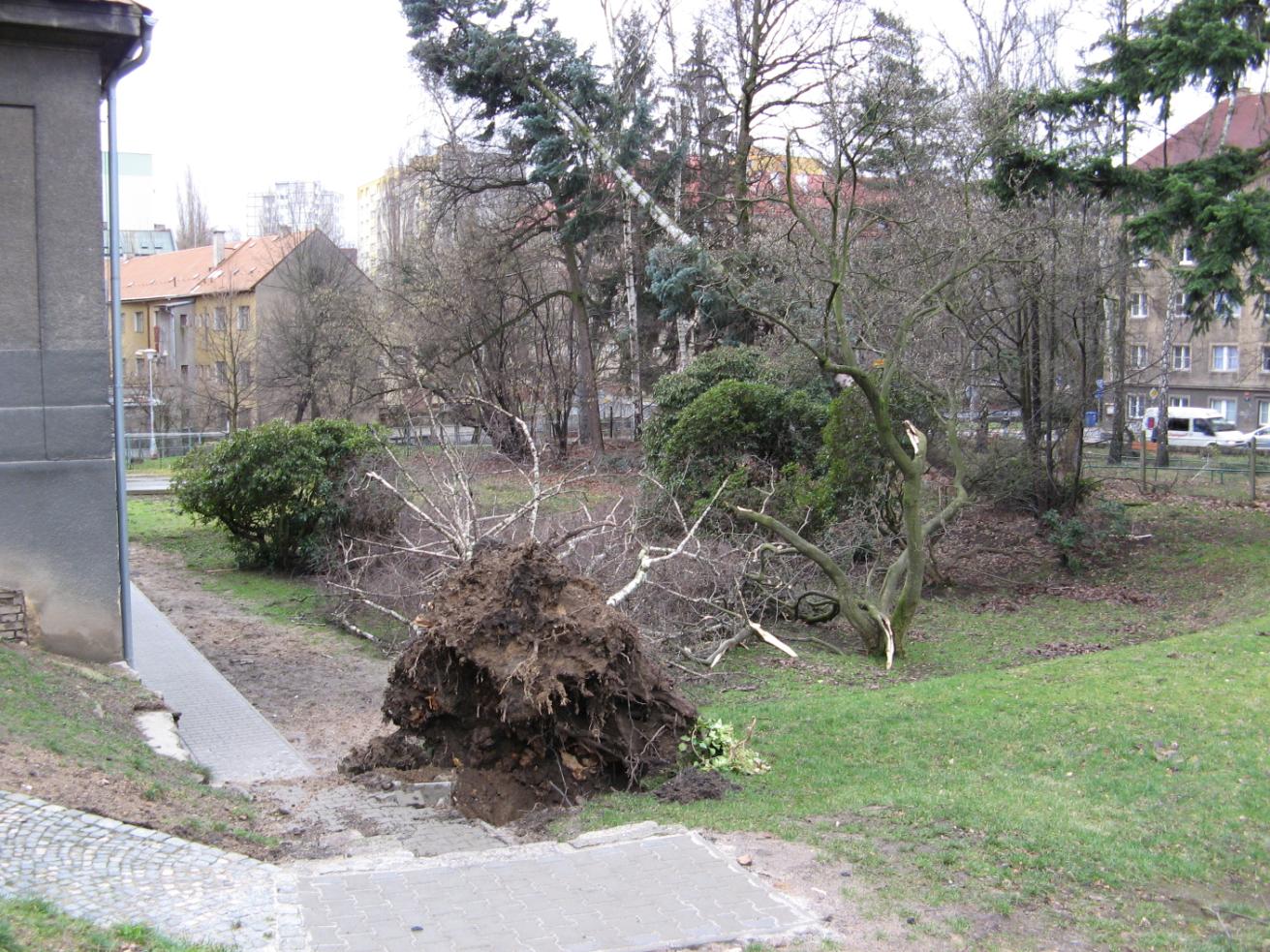 Orkán Bohužel, není každý den jako malovaný.