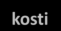 Distribuce srdečního výdeje klid zátěž srdce 5% = 0,25 l/min 5% = 1,25 l/min mozek svaly 15% = 0,75 l/min 4% = 1,0 l/min 20% = 1,0 l/min