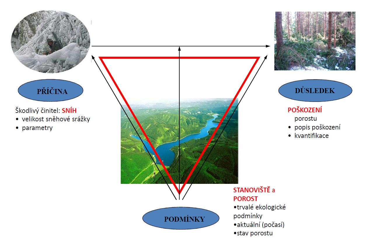 3 MODEL Pro vytvoření modelu poškození (a ohrožení) porostů byl použit kauzální model,