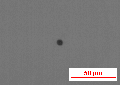 5.3.1 Inkluze S použitím infračerveného mikroskopu byl studován vliv žíhání na koncentraci a tvar Cd a T e inkluzí v CdT e : Cl krystalech. Na obrázku (5.