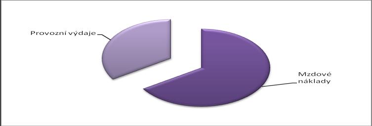 Hospodaření Domova pro seniory v roce 2011 Příjmy v roce 2011 činily celkem 6 883 979,- Kč.