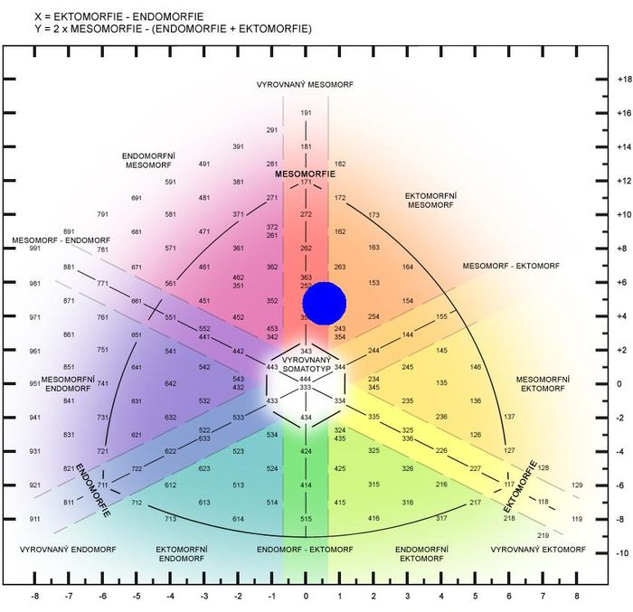 V níže přiloženém obrázku somatografu (viz. Obrázek 1) je znázorněn typický somatotyp pro fotbalisty.
