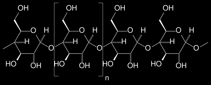 NMR biomakromolekul Typy biomakromolekul a možnosti studia pomocí NMR proteiny a peptidy